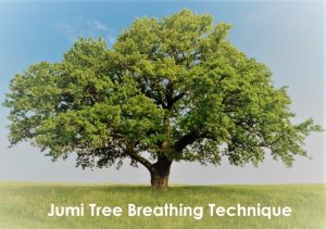 Jumi_Tree_Breathing_Technique